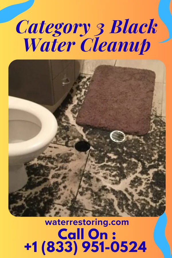 Category 3 Black Water Cleanup in Claude, TX